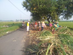Serma Edi Babinsa Koramil 0816/05 Tulangan, Komsos Bersama Petani Tebu Di Desa Binaan