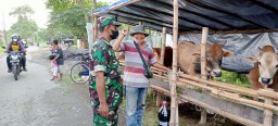 Babinsa Koramil 0816/06 Tanggulangin Sertu Yoyo Komsos Bersama Warga Cegah Wabah PMK