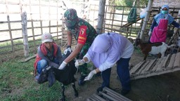 Babinsa 0816/03 Buduran melaksanakan pendampingan vaksin terhadap ternak