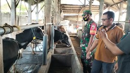 BABINSA KORAMIL 15/SUKODONO MELAKUKAN PENDAMPINGAN PMK DI WILAYAH BINAANNYA