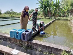 Satgas TMMD ke 114 Kodim 0816/Sidoarjo, Tingkatkan budidaya perikanan di Desa Rejeni