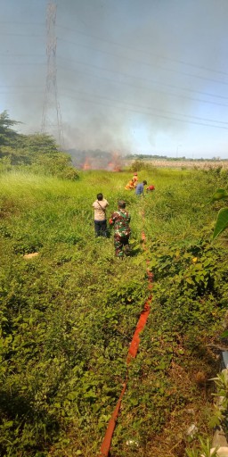 Serma Edi Babinsa Koramil 0816/05, Gercep Bantu Atasi Kebakaran Lahan Alang-Alang Di Wilayah Binaan.