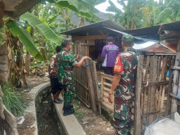Cegah PMK, Babinsa Koramil 0816/05 Dampingi Vaksinasi Hewan Ternak Warga Binaan