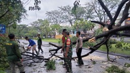 Babinsa Koramil 0816/01 Sidoarjo Kota sigap bantu warga terdampak puting beliung