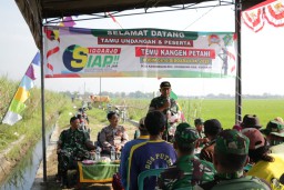 Temu Kangen Petani Bersama Kodim 0816/Sidoarjo Di Desa Kandangan Krembung