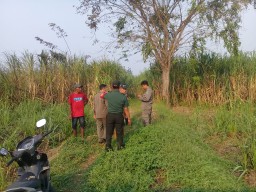 Serka Joko Dwi. P Babinsa Koramil 0816/05 Bersama Kades Padamkan Kebakaran Lahan Tebu
