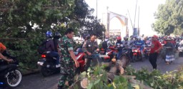 Babinsa Koramil 0816/10 Balongbendo Respon Cepat Evakuasi Pohon Tumbang
