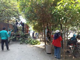 KORAMIL 0816/16 WARU KODIM 0816 MENGGELAR BAKTI GOTONG ROYONG PEMBERSIHAN SALURAN AIR DAN FASUM PERUM REWIN DESA KEPUHKIRIMAN KEC. WARU, SIDOARJO