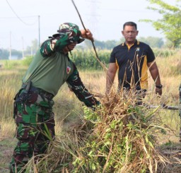 Pelestarian Agro Wisata Petik Jambu Melalui Karya Bakti TNI : TNI Bersama Masyarakat Bersatu Untuk Kesejahteraan