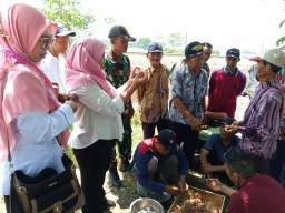 Babinsa dari Koramil 0816/10 Balongbendo Ikuti Pelatihan Teknologi Hortikultura