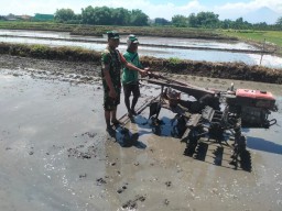 Babinsa Sarirogo Koramil 0816/01 Sidoarjo gerak cepat untuk persiapan tanam padi dalam rangka mewujudkan ketahanan pangan