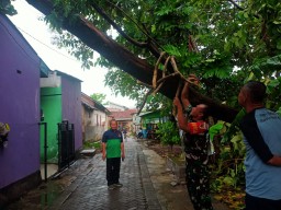 Babinsa Lebo Koramil 0816/01 Sidoarjo tanggap darurat cuaca extrem.