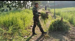 Kerjasama dalam Aksi Kebersihan, Babinsa Serda Moh Zahlan dan Warga Sukodono Gotong Royong Untuk Lingkungan Bersih di Jalan dan Pinggir Kali Balongsari