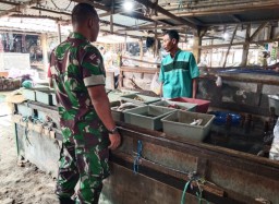 Babinsa Monitoring Peningkatan Harga Sembako di Pasar Tradisional Desa Penambangan Balongbendo