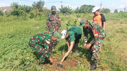 Anggota Koramil 0816/03 Buduran bersama Pemdes Dukuhtengah melaksanakan penghijauan