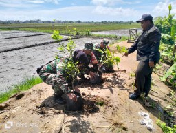 Peltu K Yusti Wulandari Bersama Koramil 0816/18 Sedati dan Pemdes Desa Kwangsan Tanam Pohon untuk Dukung Penghijauan