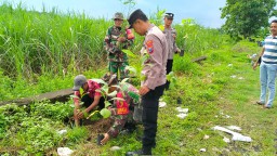 Jaga Kelestarian Lingkungan, Anggota Koramil 0816/11 Tarik Laksanakan Penanaman Pohon