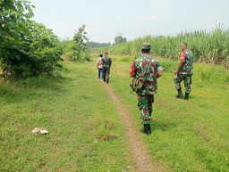 Ketahanan Pangan Danramil Beserta Bati Tuud &amp; Babinsa Medalem Kordinasikan Lahan Kosong Untuk Di Manfaatkan Dengan Menanam Jagung