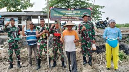 Tingkatkan Ketahanan Pangan, Anggota Koramil 0816/11 Tarik Bersama Warga Desa Klantingsari Tanam Jagung