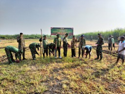 Kegiatan Penanaman Jagung di Sidoarjo Menggalang Sinergi Antara TNI bersama Masyarakat