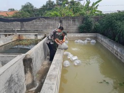 Perkuat Ketahanan Pangan melalui TMMD ke 120 Kodim 0816/Sidoarjo, Dinas Perikanan Kab. Sidoarjo Membawa Harapan ke Desa Penambangan
