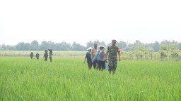 Warga Desa Penambangan dan Babinsa Bersinergi Tingkatkan Ketahanan Pangan Hasil TMMD