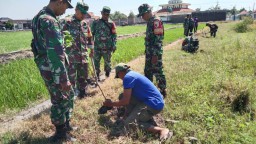 Koramil 0816/13 Wonoayu Percepat Pembibitan Penghijauan dengan Target 1000 Pohon
