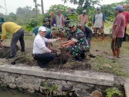 Semangat Gotong Royong, Warga Balungpandan Bersama TNI dan Forkopimka Sukodono Gelar Karya Bakti untuk Kelancaran Irigasi Sawah