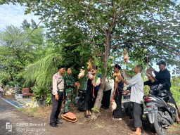 Babinsa Koramil 0816/06 Tanggulangin dan Warga Bersatu dalam Kegiatan tradisi PSHT Kalitengah