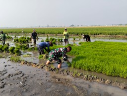 Babinsa Koramil 0816/08 Jabon Bantu Pompanisasi untuk Pengairan Sawah di Dusun Kaliwaru