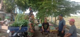 Babinsa Koramil 0816/05 Tulangan Tekankan Pentingnya Kualitas dan Ketahanan Pangan kepada Kelompok Tani Desa Modong