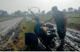 Babinsa Koramil 0816/06 Tanggulangin Bersama Gapoktan Rahayu Laksanakan Pendampingan Ketahanan Pangan di Desa Ketapang