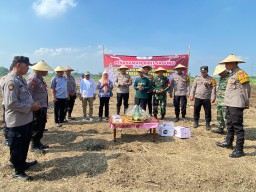 Danramil 0816/05 Tulangan Dan Babinsa Melaksanakan Pendampingan Ketahanan Pangan