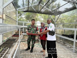 Babinsa Koramil 0816/16 Waru Dampingi Warga Perumahan Rewwin Tanam Sayur Mayur, Wujudkan Ketahanan Pangan di Lahan Perkotaan