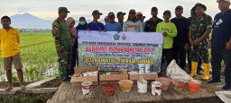 Tingkatkan Swasembada Pangan, Danramil 0816/11 Tarik Beserta Anggota Dampingi Poktan Desa Kalimati