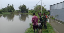 Babinsa Koramil 0816/06 Tanggulangin Bersama Petugas Pengairan &amp; Pemdes Penatarsewu Cek DAM Pintu Air Irigasi