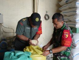 Kodim 0816/Sidoarjo Bersama Bulog Monitoring Panen dan Penyuluhan Harga Gabah di Desa Buncitan