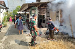 Serka Catur Wahyu. S Babinsa Boro Lakukan Pendamping Giat Fogging