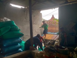 Babinsa Koramil 0816/10 Balongbendo Dampingi SERGAB di Desa Sumokembangsri, Petani Sambut Antusias