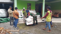 Sinergi TNI dan Petani, Danramil 0816/13 Wonoayu Dampingi Panen Raya di Lahan Poktan Sumber Rejeki II