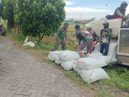 Babinsa Urang Agung Sidoarjo sukseskan program sergab petani.