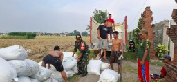 Sinergi Solid Babinsa Wonokasian dan Petani Wujudkan Lumbung Pangan Sejahtera