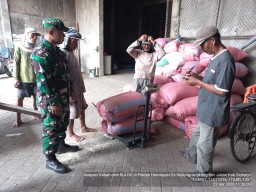 Babinsa Serda Hendro Ulurkan Tangan, Dampingi Petani Kedungcangkring Raih Berkah Panen Padi