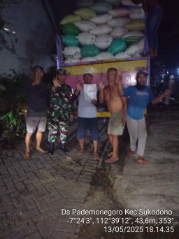 TNI dan Bulog Serap Gabah Petani Pademonegoro, Ketahanan Pangan Kian Kuat