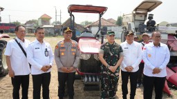 Semangat Bersama Tanam Jagung, Dandim 0816 dan Bupati Sidoarjo Apresiasi Kolaborasi Imigrasi-Polresta Wujudkan Ketahanan Pangan Lintas Sektor