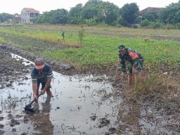 Babinsa Koramil 0816/14 Taman Wujudkan Kepedulian TNI terhadap Ketahanan Pangan