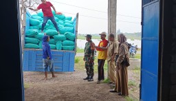 Babinsa Penatarsewu Dampingi Pendistribusian Bantuan Benih Padi Demi Kemandirian Pangan