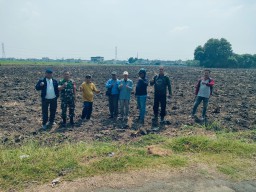 Babinsa Krian Dampingi Dinas Pangan Sidoarjo Laksanakan Survei Lahan Tebu di Desa Jeruk Gamping