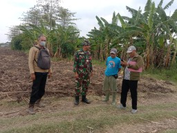 Babinsa Krian Dampingi PPL Olah Lahan Tebu Seluas 25 Hektar di Desa Sedang Mijen