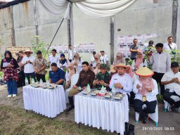 Sinergi TNI Tanam Perdana Program Bongkar Ratoon untuk Ketahanan Pangan